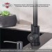 Смеситель для кухни РМС SUS124BL-017F Черный