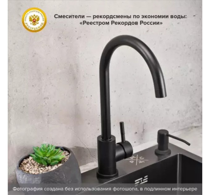 Смеситель для кухни РМС SUS124BL-017F Черный