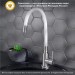 Смеситель для кухни РМС SUS124W-016F с гибким изливом Белый