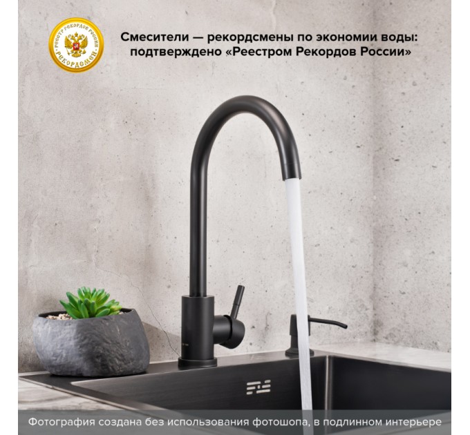 Смеситель для кухни РМС SUS124BLK-017F из нержавеющей стали черного цвета