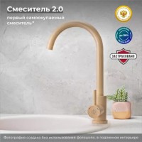 Смеситель для кухни РМС SUS124BNK-017F Бежевый