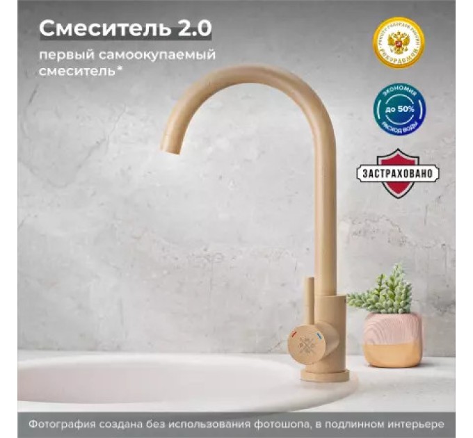 Смеситель для кухни РМС SUS124BNK-017F Бежевый